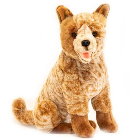 copper cattle dog 41cm sitting