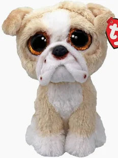 BEANIE BOO- POOCH TAN ENGLISH BULLDOG